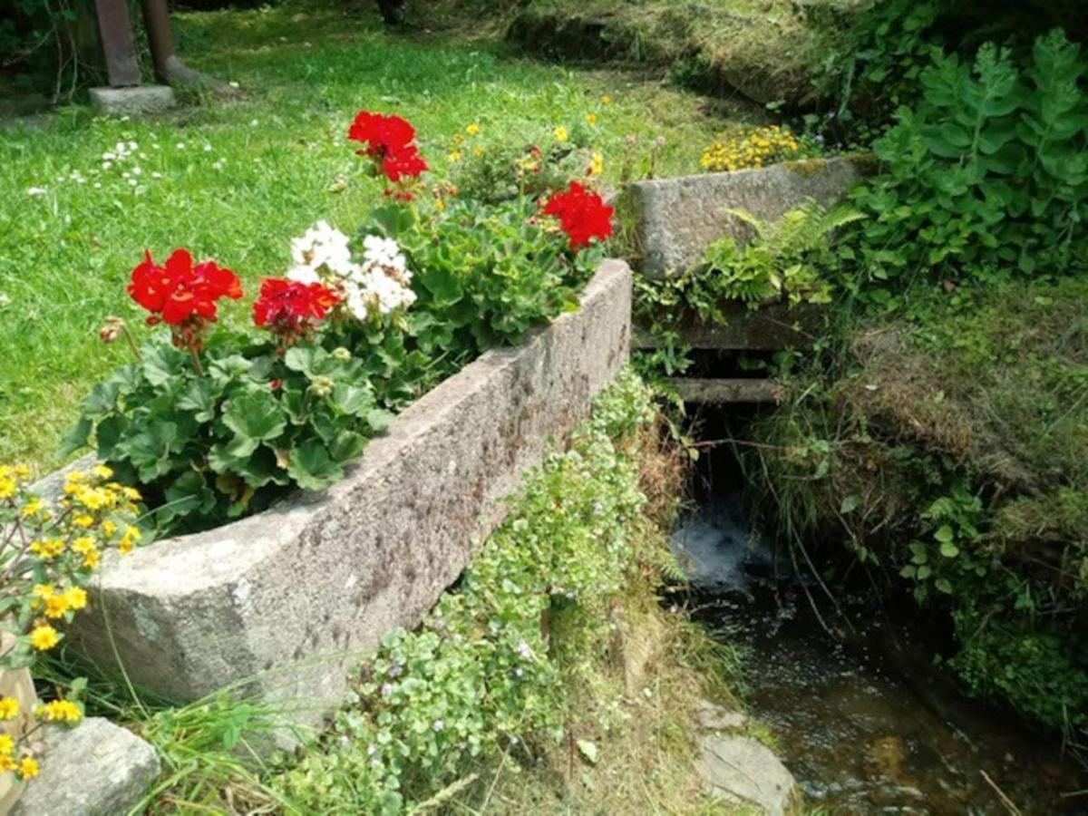 Chaloupka Na Konci Sveta Βίλα Raskov Εξωτερικό φωτογραφία